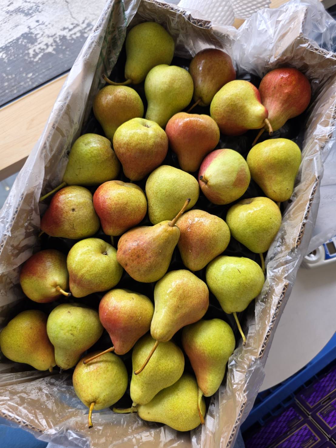 [芯鮮果]紐西蘭 ( 啤梨-西洋梨 ), , large