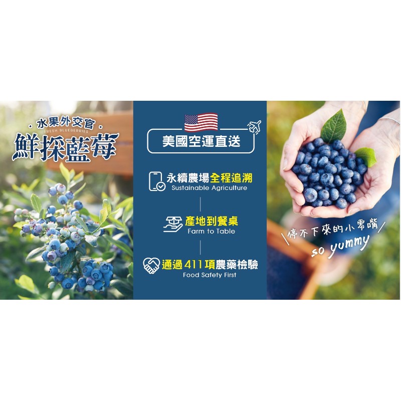 進口藍莓, , large