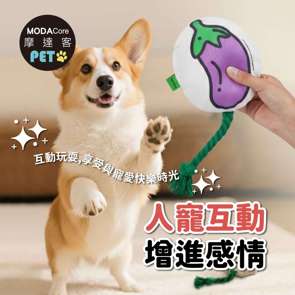 摩達客寵物-棉繩咬咬發聲玩具-茄子與番茄兩入組-狗猫磨牙互動紓壓_陪伴布娃娃自嗨解悶, , large
