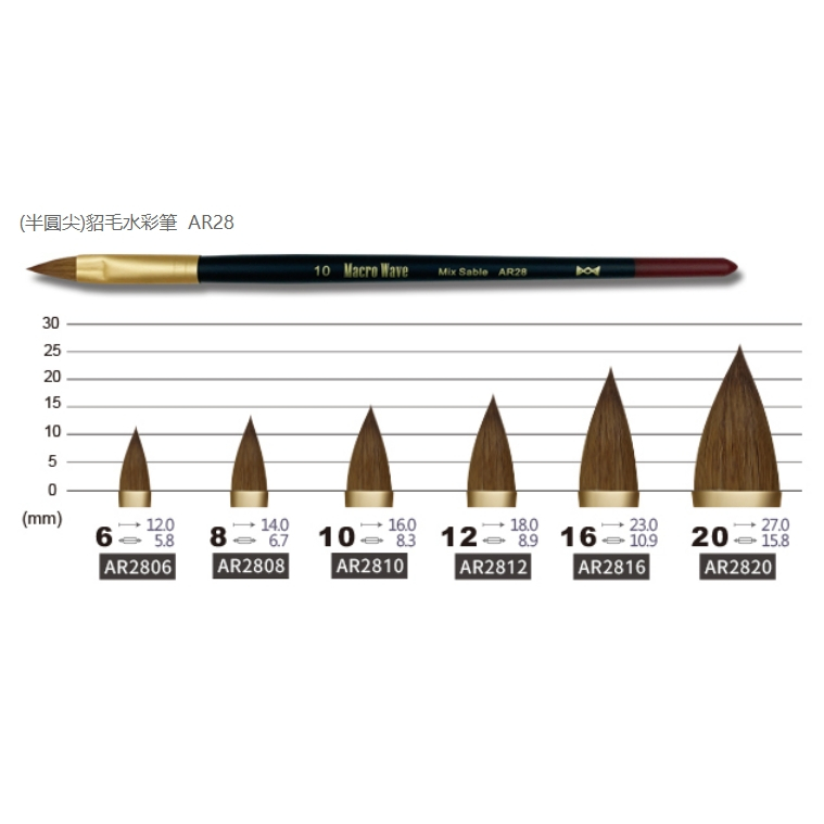 普思AP 馬可威貂毛水彩筆(半圓尖)6/8/108 AR2808, , large