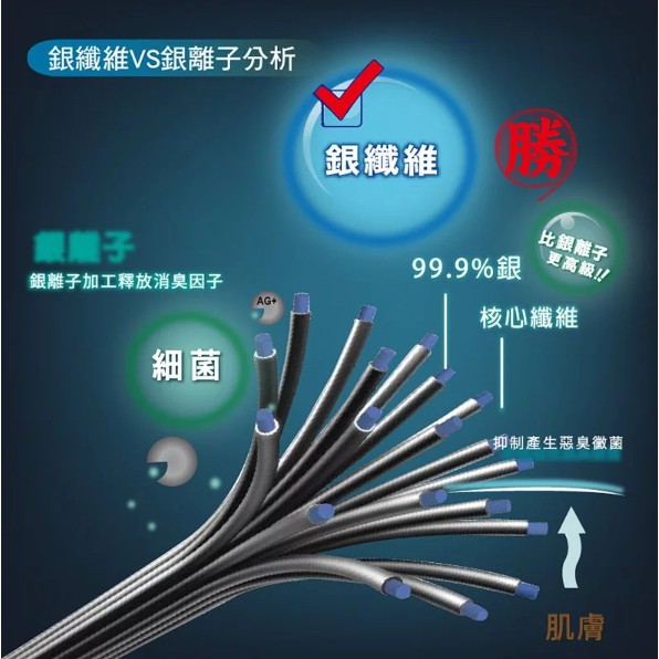 【AREXSPORT台灣製】AS-3419無痕內褲 女內褲 涼感內褲 銀纖維三角褲 無痕抑菌內褲 抑菌內褲 銀纖維內褲, , large