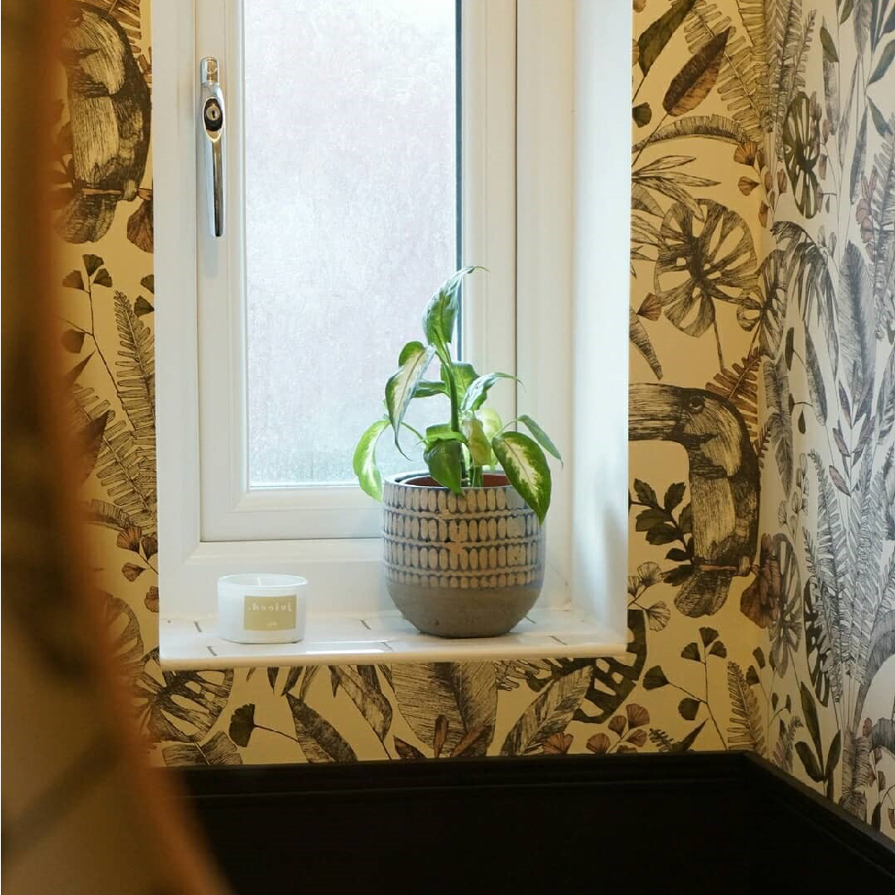 wxy classic mini-juiced. Lime Avocado + Cucumber Water, , large