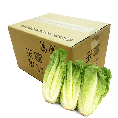 【玉美生技】蘿蔓生菜2KG, , large