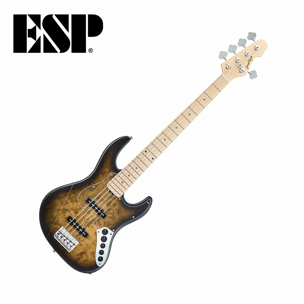 ESP Grassroots G-AMAZE-5 NDBKSB 五弦電貝斯 黑色漸層【敦煌樂器】, , large