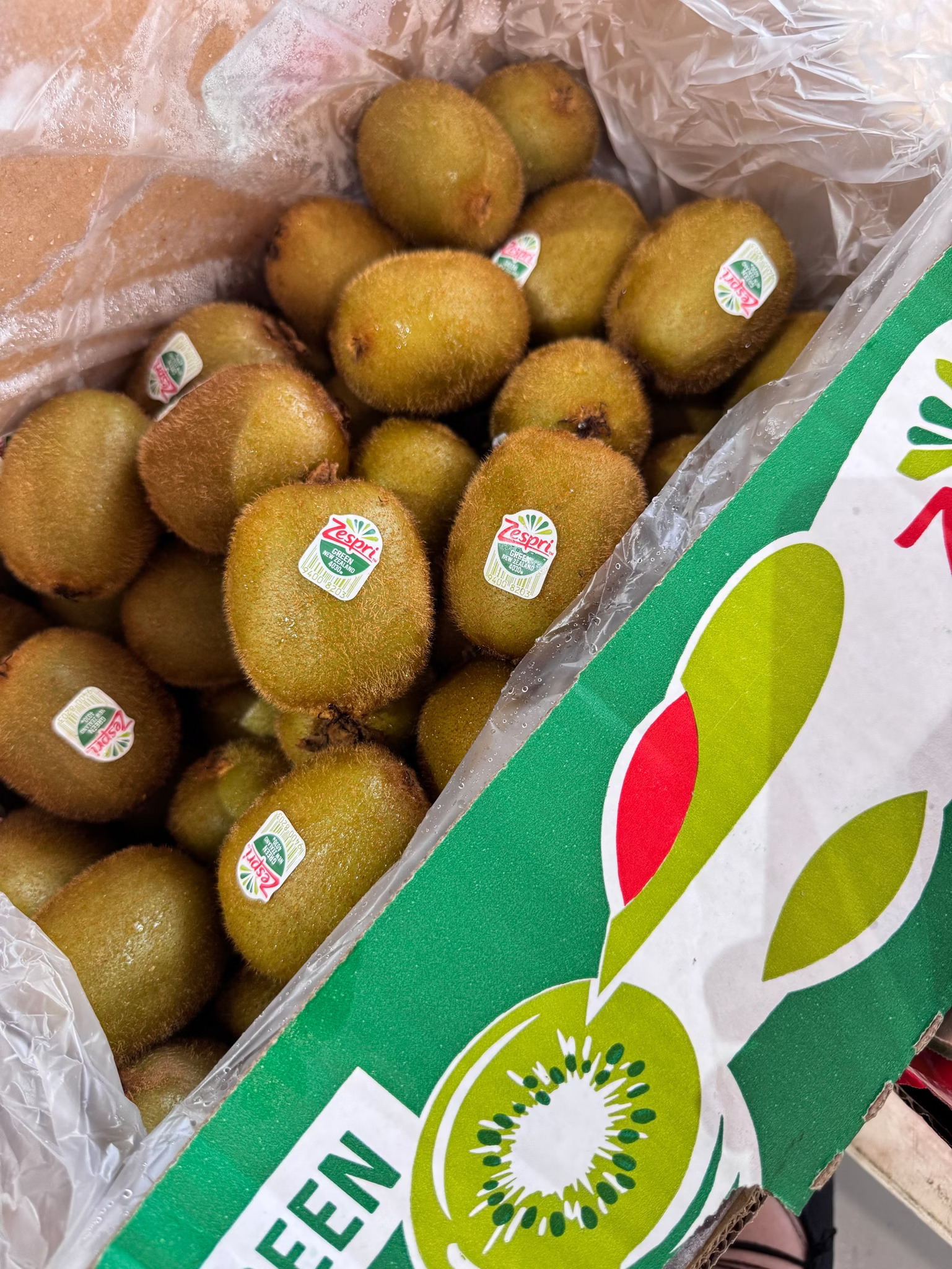 New Zealand Green Kiwifruit, , large