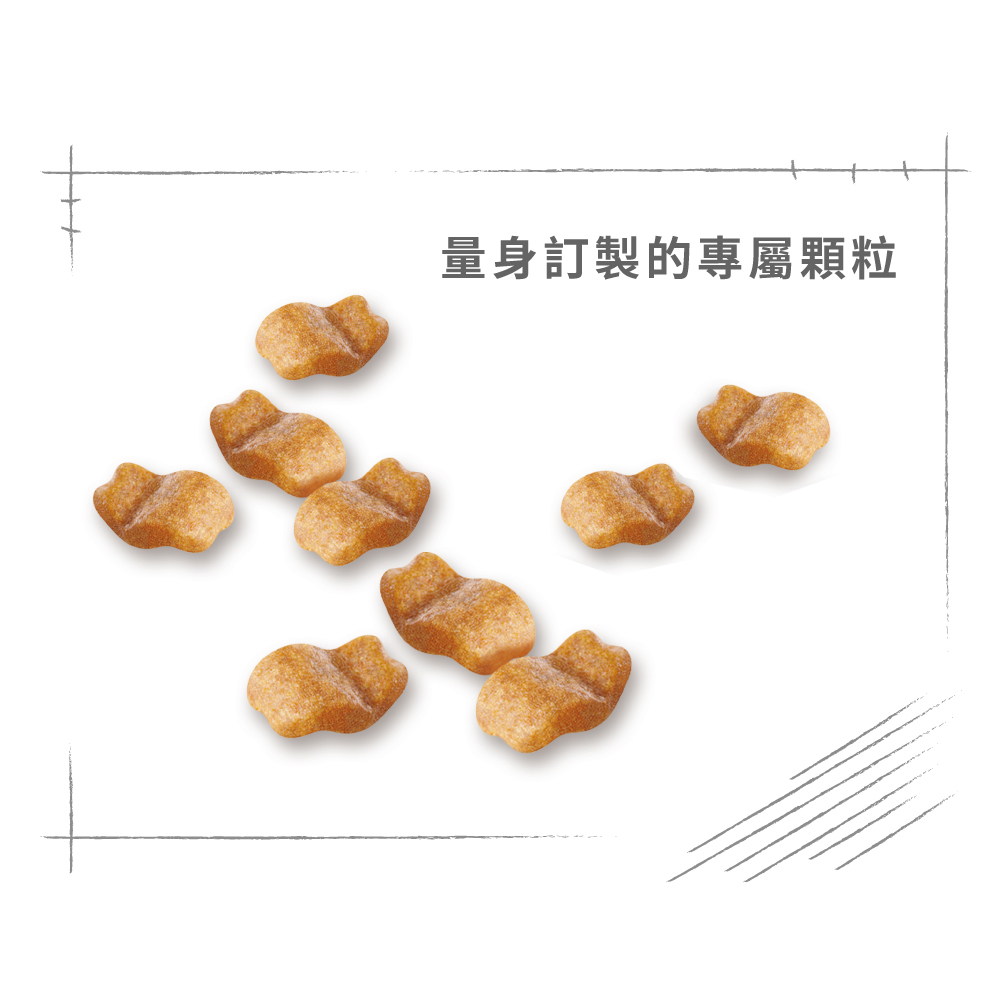 Royal Canin Bulldog Adult BDA, , large