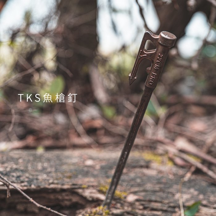 【TKS】魚槍釘 22cm 營釘 不鏽鋼釘 營釘 不銹鋼營釘 地釘 釘子 帳篷釘 露營, , large