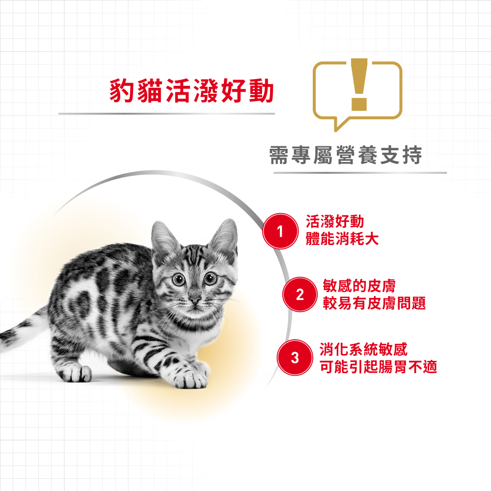 【Royal Canin法國皇家】豹貓成貓專用乾糧BG40, , large