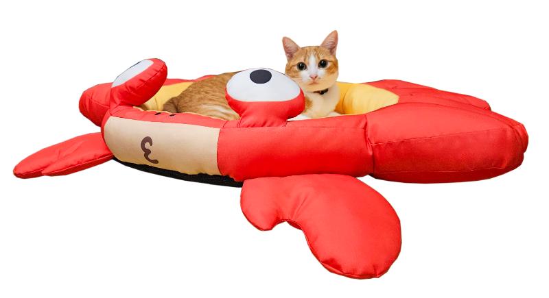 Lucky Me for pet, , large