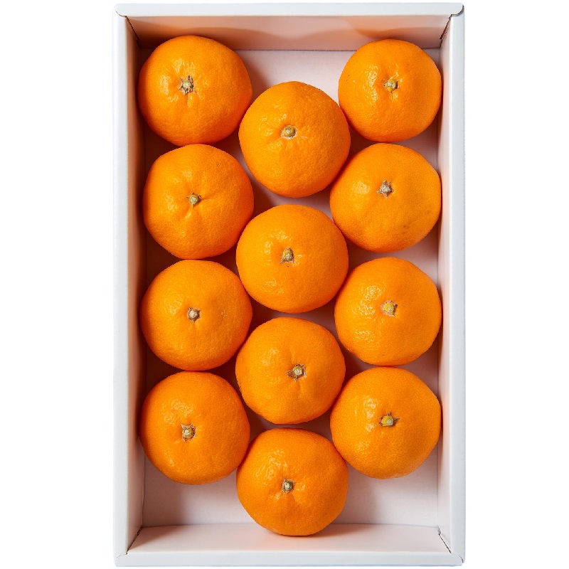 JP Mandarin Orange gift box, , large