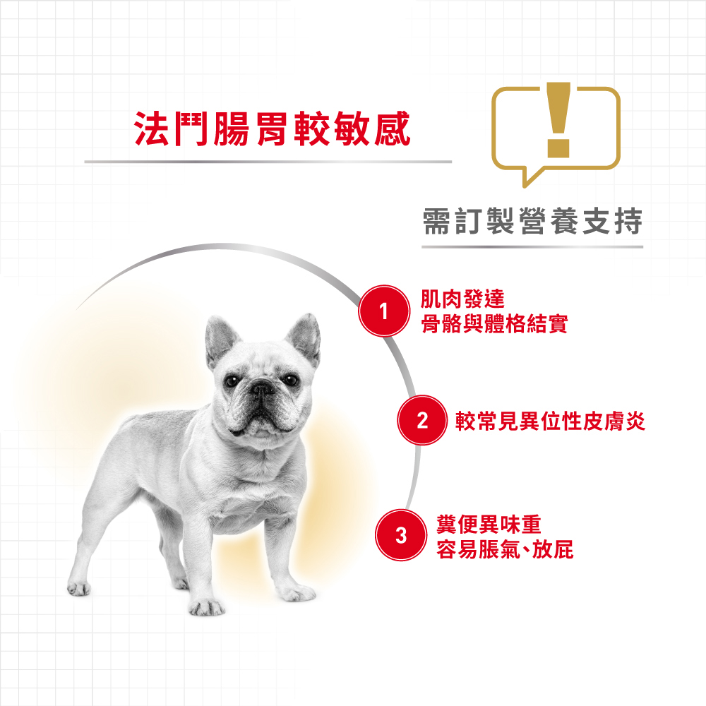 【Royal Canin法國皇家】法國鬥牛成犬FBDA, , large