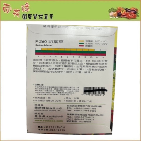 【向花緣】天星牌 彩葉草 - 花卉種子, , large