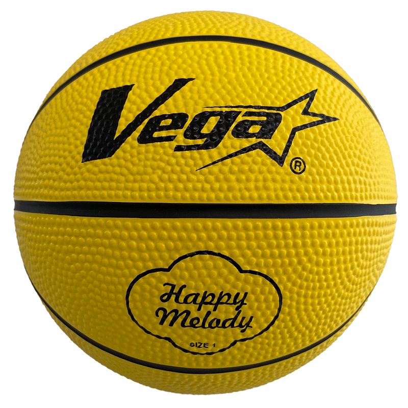 Vega Mini Basketball