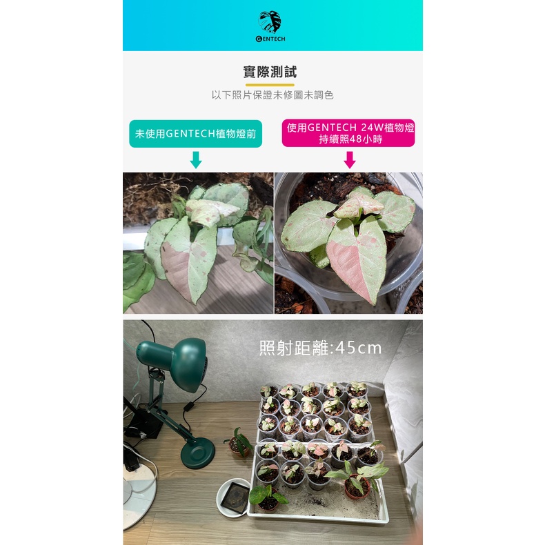 [GENTECH]全光譜LED植物燈 10W 演色性98 生長光 觀葉、塊根植物、多肉植物適用, , large