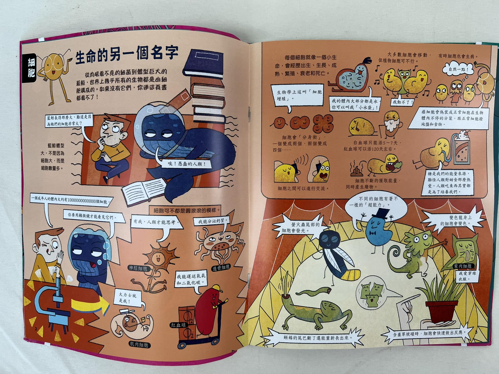 《南門書局》我是學霸 6本, , large