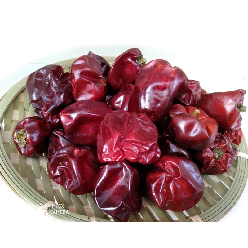 Bell pepper, , large