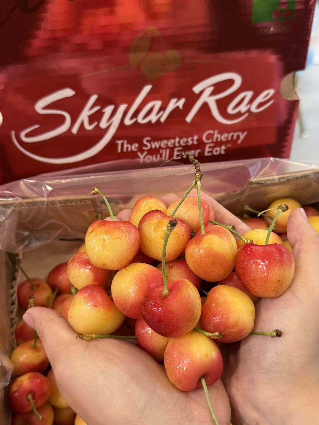 [芯鮮果]智利( SkylarRae焦糖草莓白櫻桃 ), , large