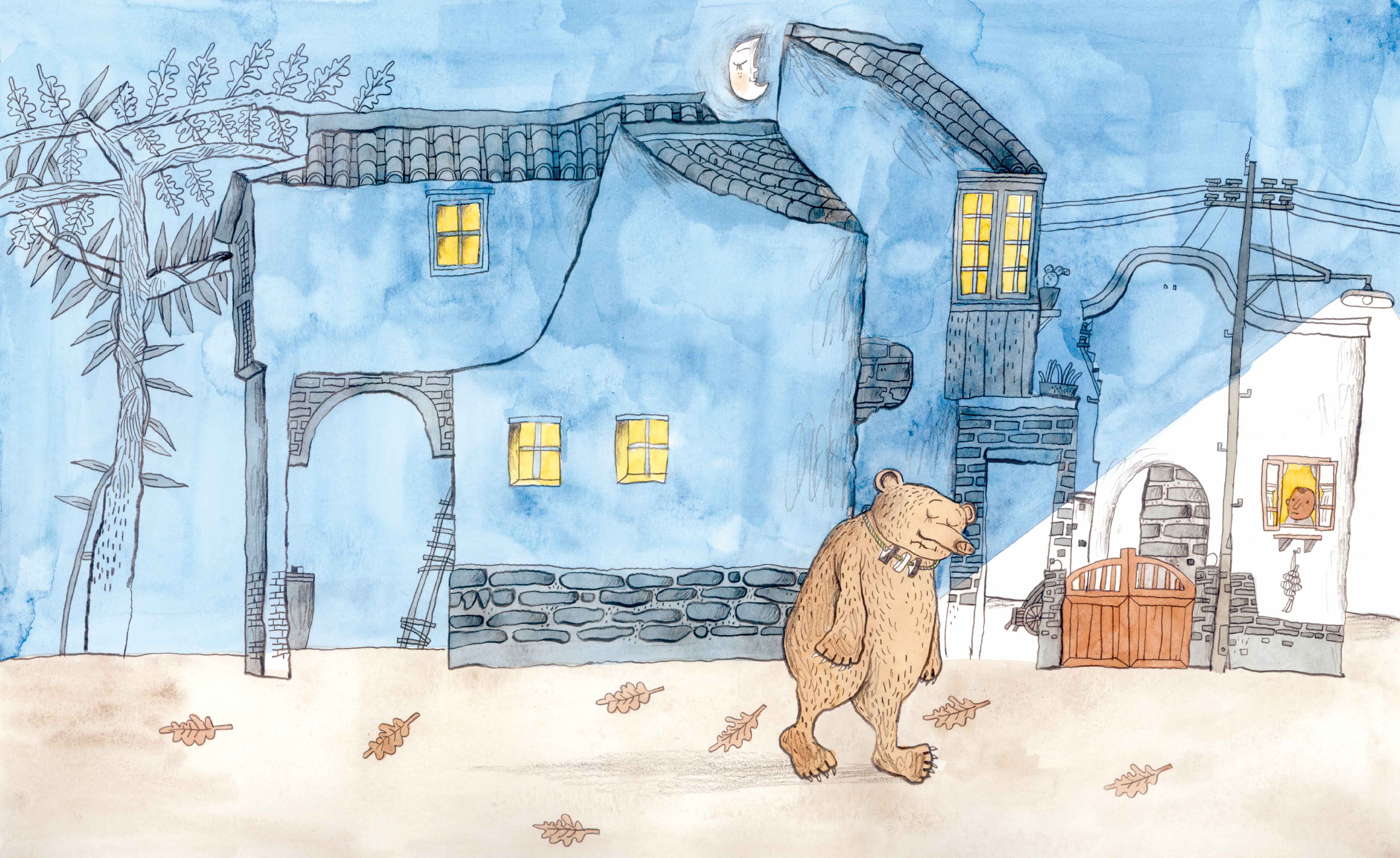 《南門書局》單本繪本館~一隻大熊要住宿 1本, , large