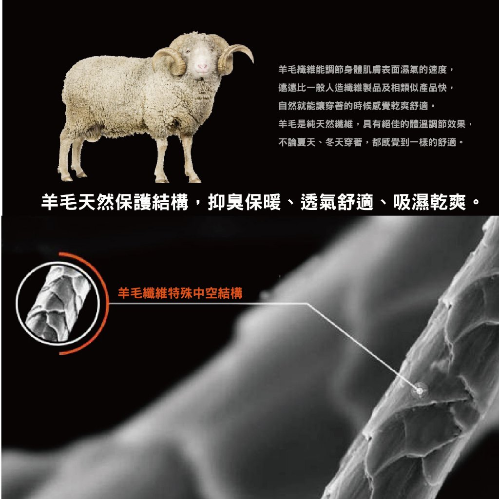 【AREXSPORT】登山羊毛帽 抑菌除臭/抗寒恆溫/登山/健行百岳攀岩 100%美麗諾羊毛 運動帽 保暖帽 銀髮族, , large