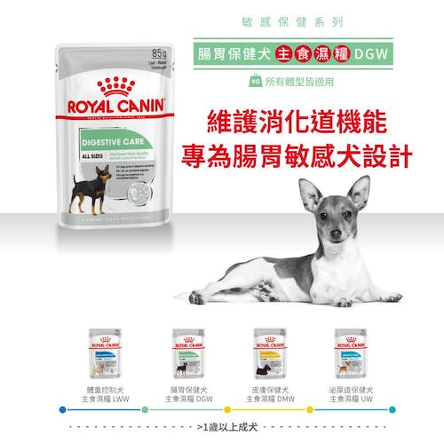 【拉拉寵物小舖】法國皇家 狗主食餐包 DGW 腸胃保健犬主食濕糧 狗主食濕糧, , large