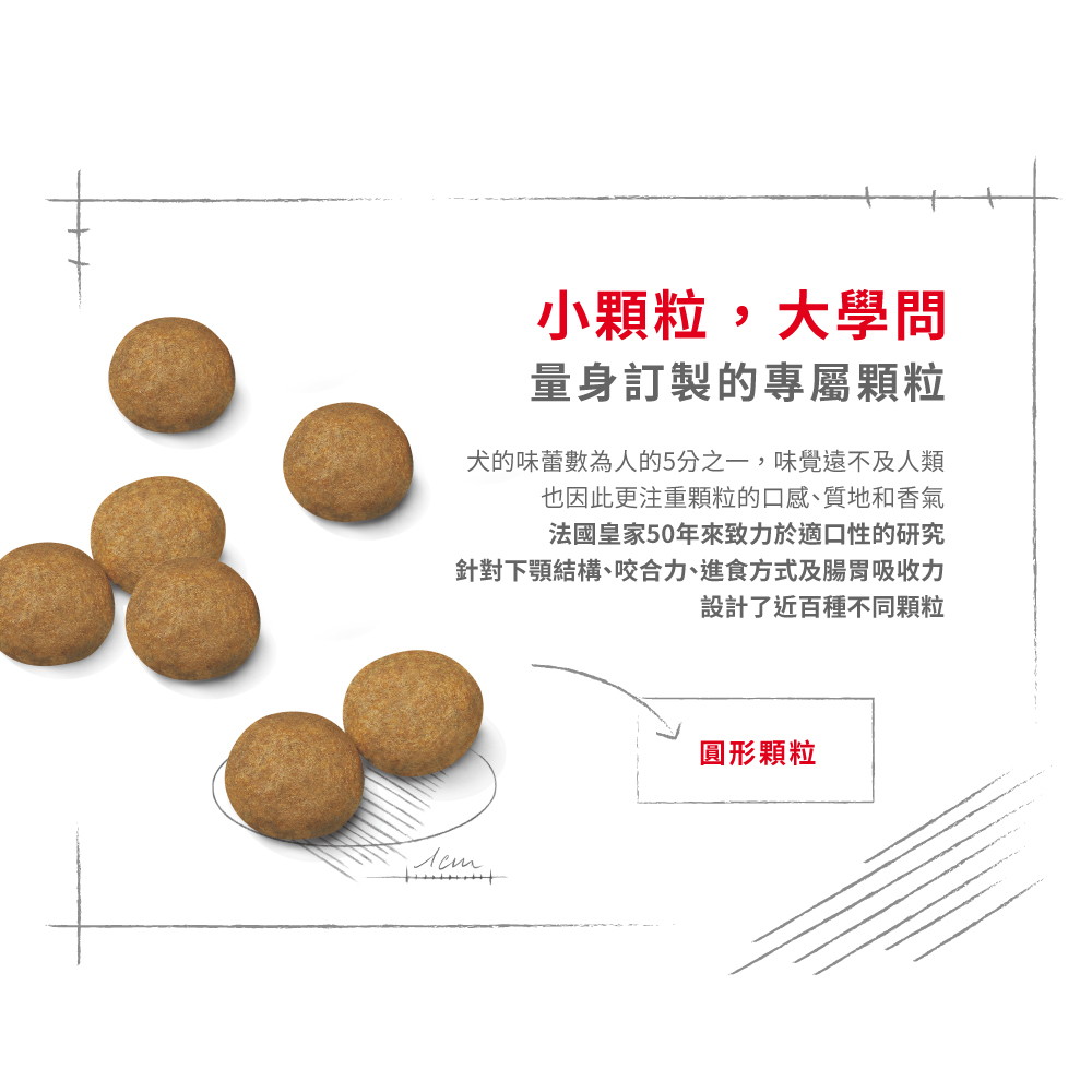 Royal Canin法國皇家 皇家中型成犬MA, , large