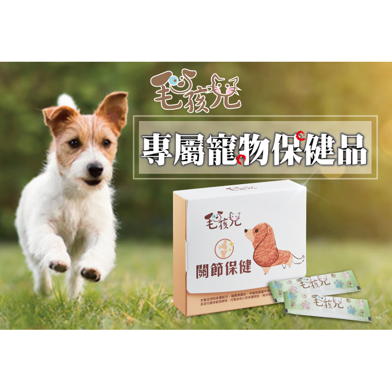 Pet joint health powder pack, , large