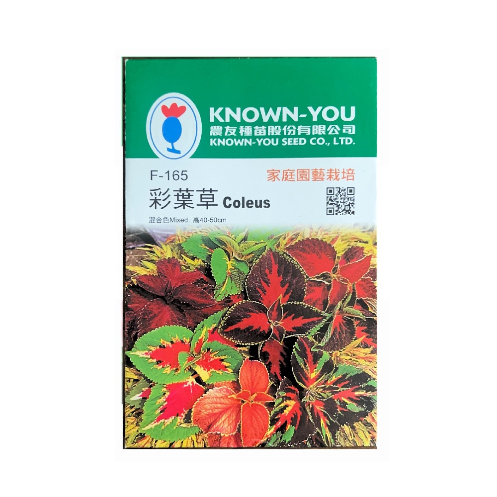 【向花緣】農友 彩葉草 - 花卉種子, , large