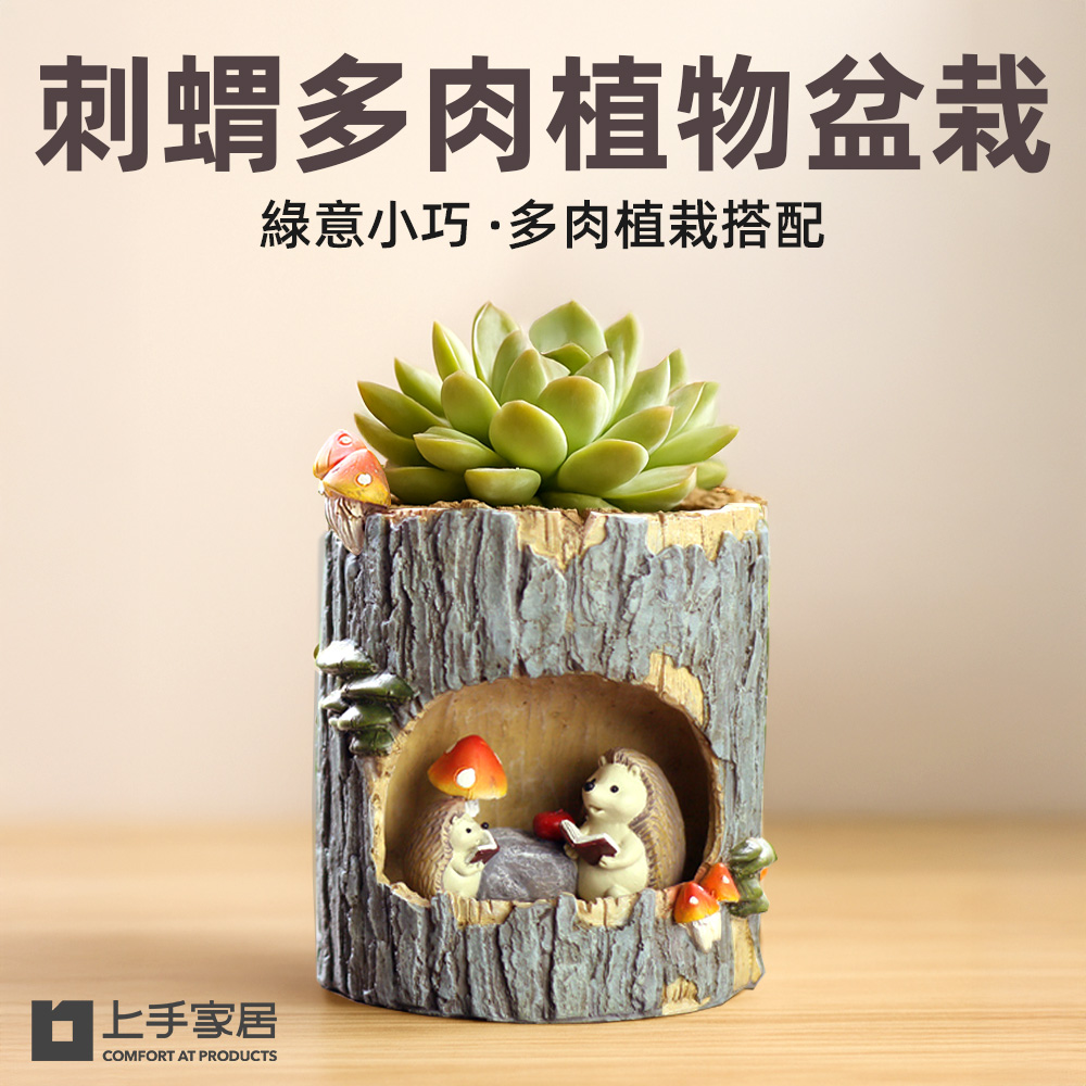 hedgehog-succulent-pot