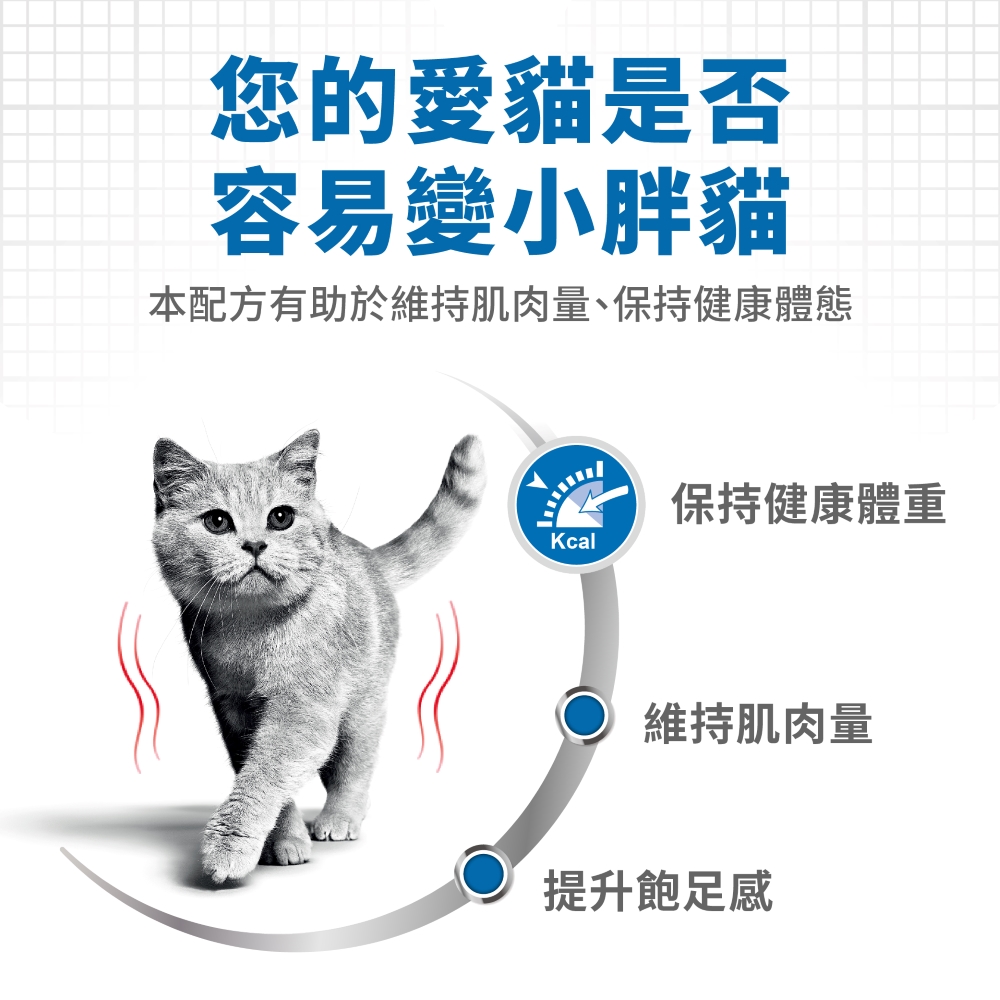 【拉拉寵物小舖】法國皇家 貓飼料 L40 體重控制成貓專用乾糧 3公斤, , large