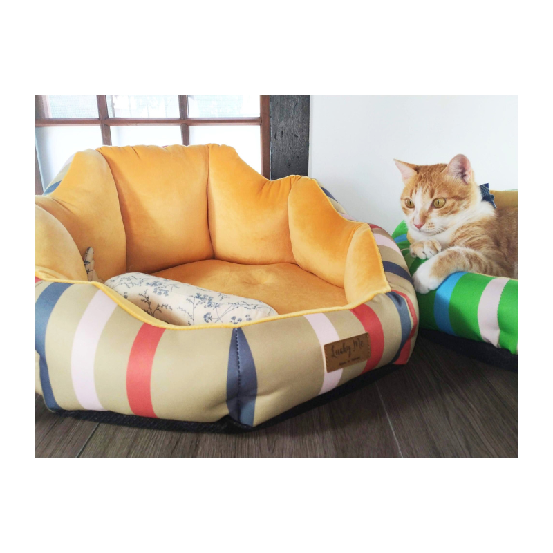 Lucky Me for pet, , large