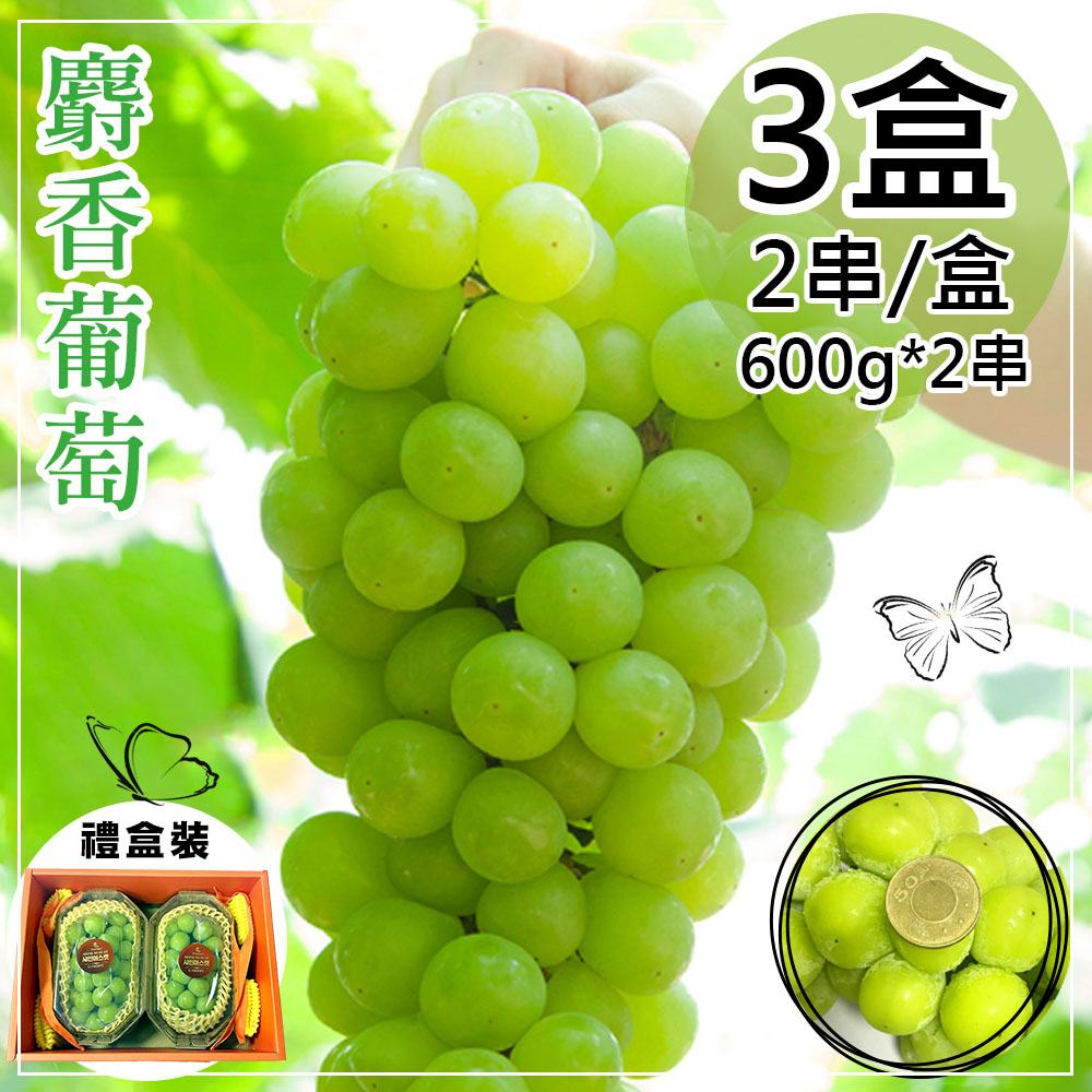 Korean Muscat Grape Gift Box, , large