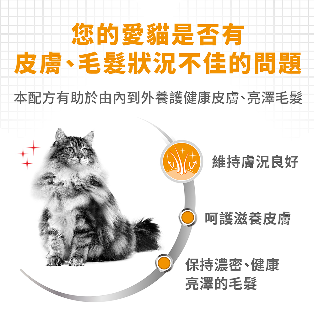 Royal Canin HS33 for Adult Cats with Sensitive Skin , , large