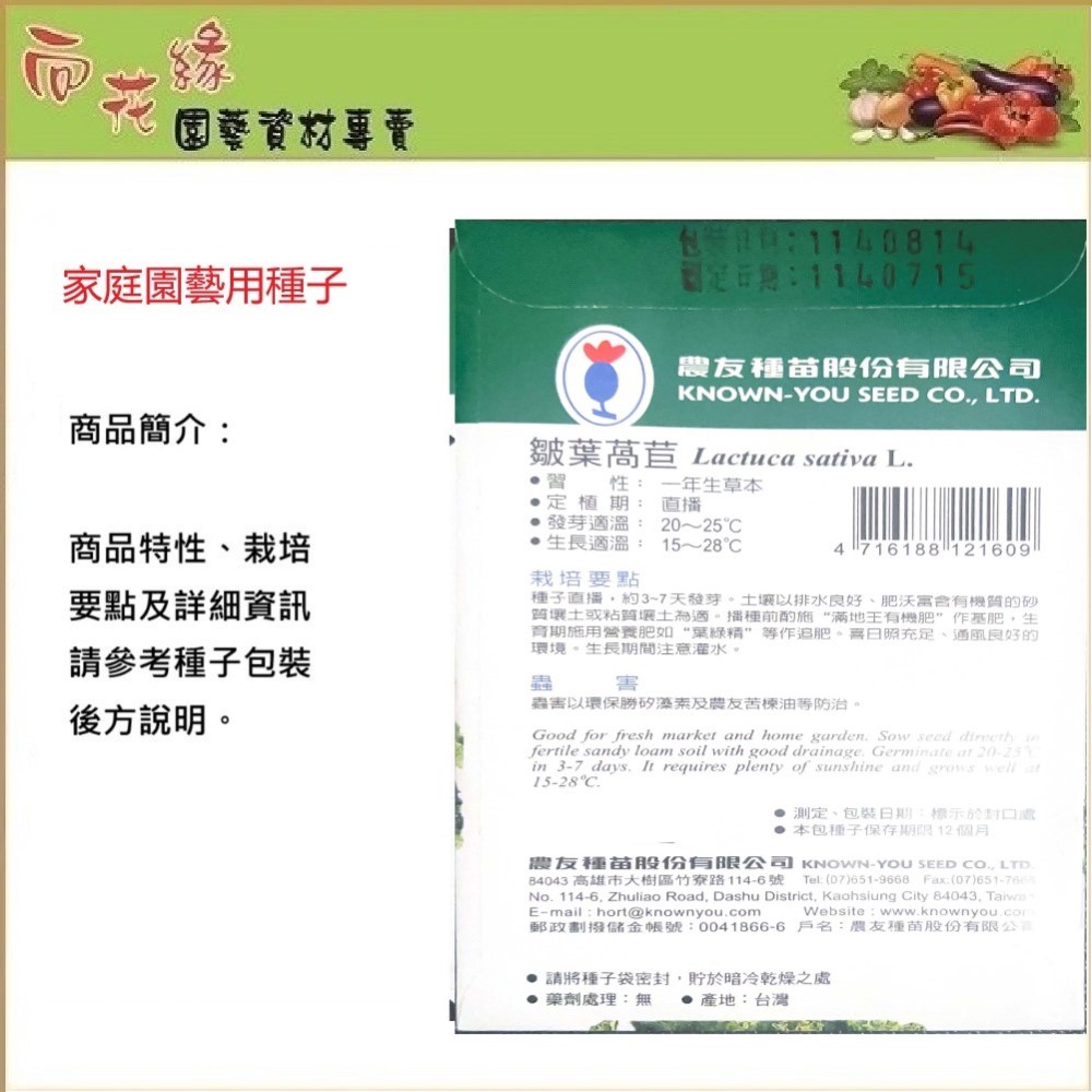 NongYou Curly Leaf Lettuce &ndash; Vegetable Seeds, , large