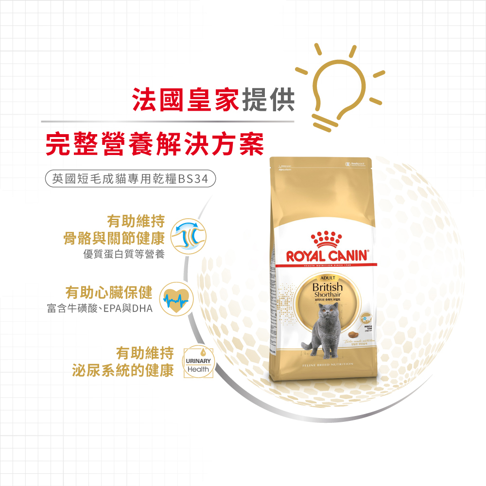 【Royal Canin法國皇家】英國短毛成貓BS34, , large