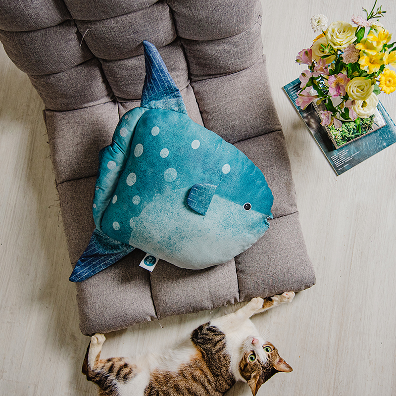 【洄遊吧FISH BAR】Sharptail_mola_pillow, , large