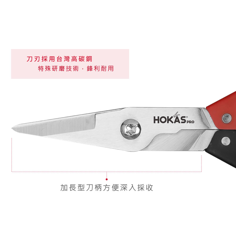 【HOKAS】S523 鐵柄專業火龍果剪 (葡萄剪 剪果 園藝剪刀 剪定鋏  修枝剪刀 樹剪 果樹剪 採果剪), , large