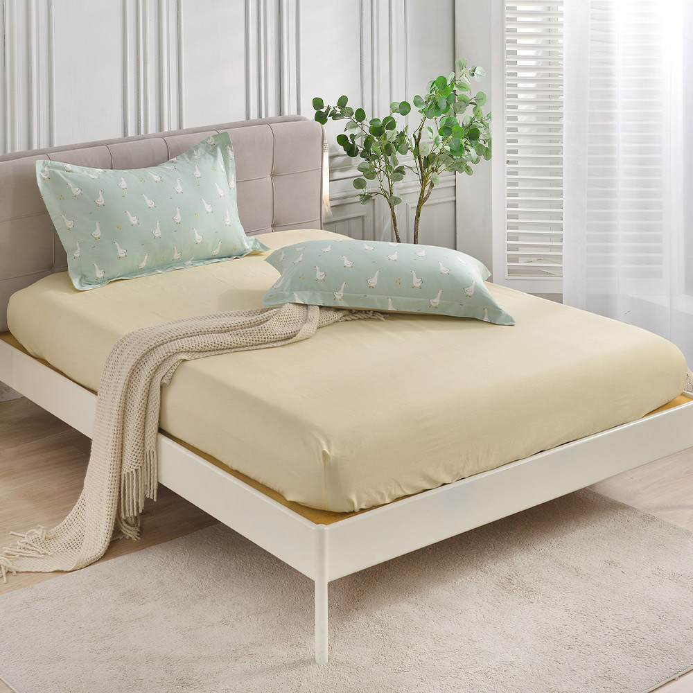 【Betrise】Let's Walk Together | Environmentally friendly printing and dyeing anti-mite and antibacterial 100% combed cotton dual-purpose quilt and bed sheet set - double, , large
