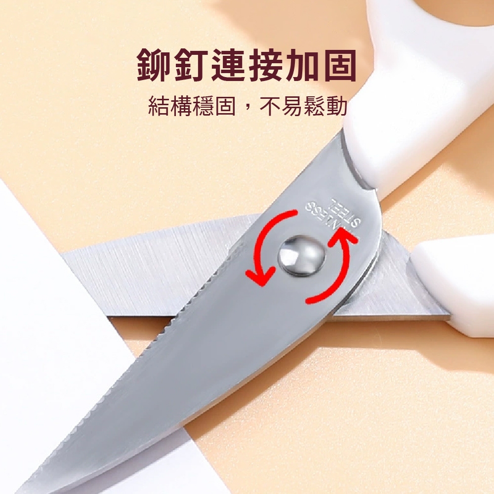 兒童食物剪刀 食物剪刀 ECHO【附發票】【1318610】食物剪 安全剪刀 食物料理剪 小剪刀 寶寶食物剪刀, , large