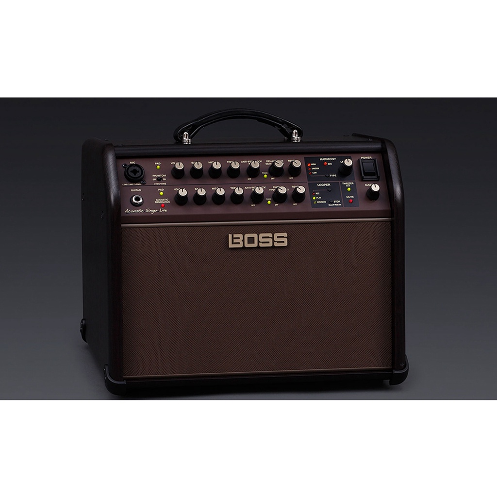 BOSS ACS-LIVE 木吉他歌手擴大音箱【敦煌樂器】, , large