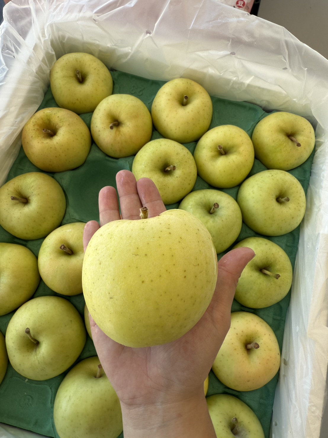 Japanese Toki Apple, , large