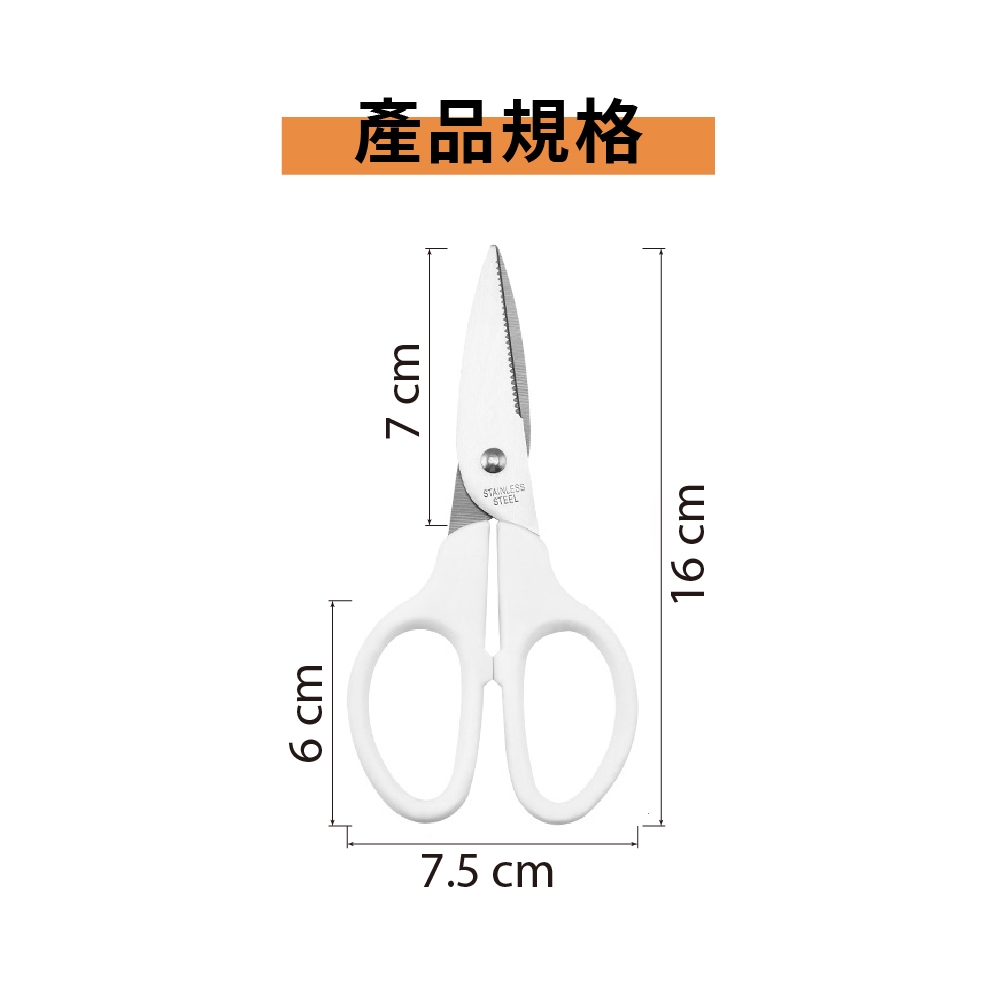 兒童食物剪刀 食物剪刀 ECHO【附發票】【1318610】食物剪 安全剪刀 食物料理剪 小剪刀 寶寶食物剪刀, , large