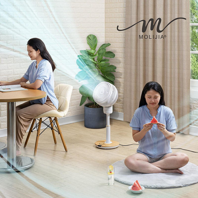 【MOLIJIA】M186 Fully Automatic DC Inverter Brushless Circulating Fan - 9-inch Floor Standing Type / DC Energy Saving Fan - White Wood Grain, , large