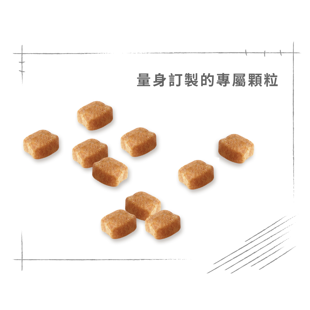 Royal Canin Dachshund Adult DSA, , large