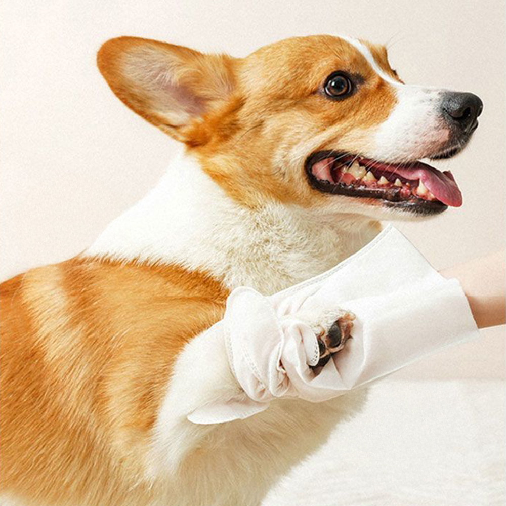 手套濕巾 6片裝 寵物清潔手套 寵物乾洗澡 寵物免洗手套 乾洗 清潔 寵物 乾洗手套 寵物免洗手套濕巾 寵物洗澡, , large