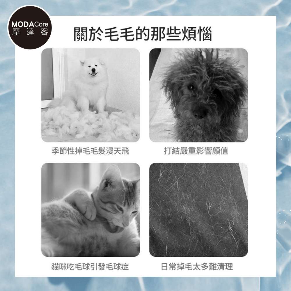 摩達客寵物-寵物三合一美容梳 刀梳 針梳 開結梳 長短毛狗狗貓咪皆可使用 寵物梳 理毛 順毛 按摩刷 浮毛梳, , large
