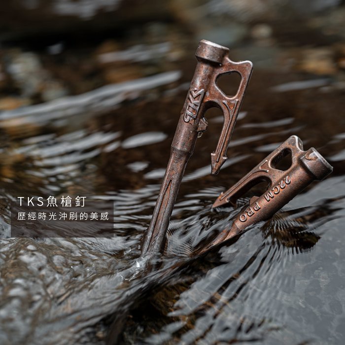 【TKS】魚槍釘 22cm 營釘 不鏽鋼釘 營釘 不銹鋼營釘 地釘 釘子 帳篷釘 露營, , large