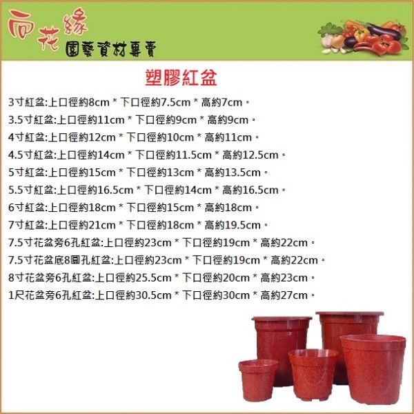 Plastic Red Pot / Cultivation Pot / Dutch Pot / Seedling Pot&ndash;3 inch, , large