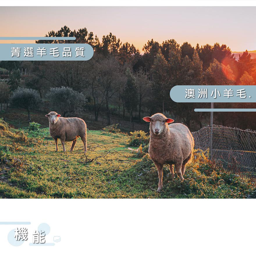 ［熊棉］澳洲暖意羊毛舒適被, , large