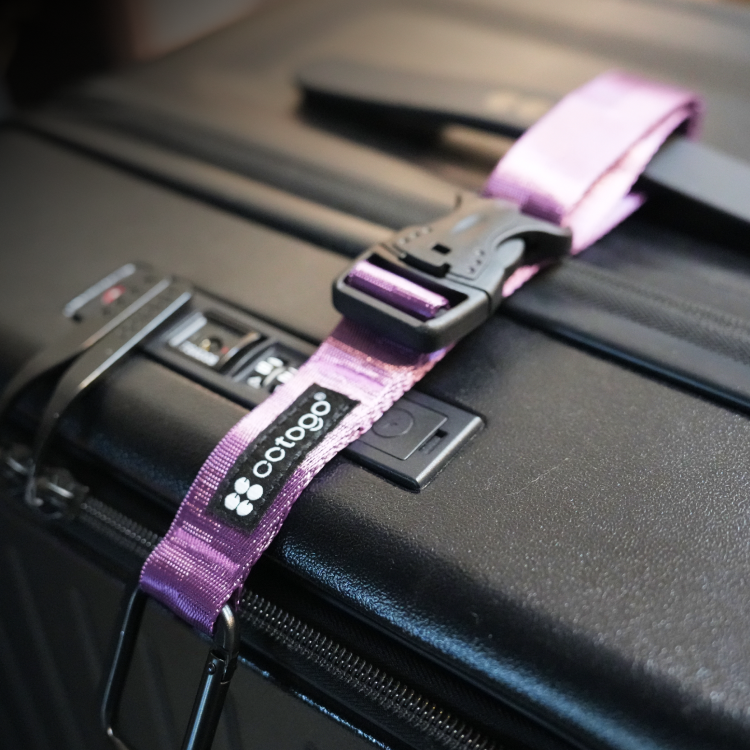 多功能掛釦 煙紫, , large