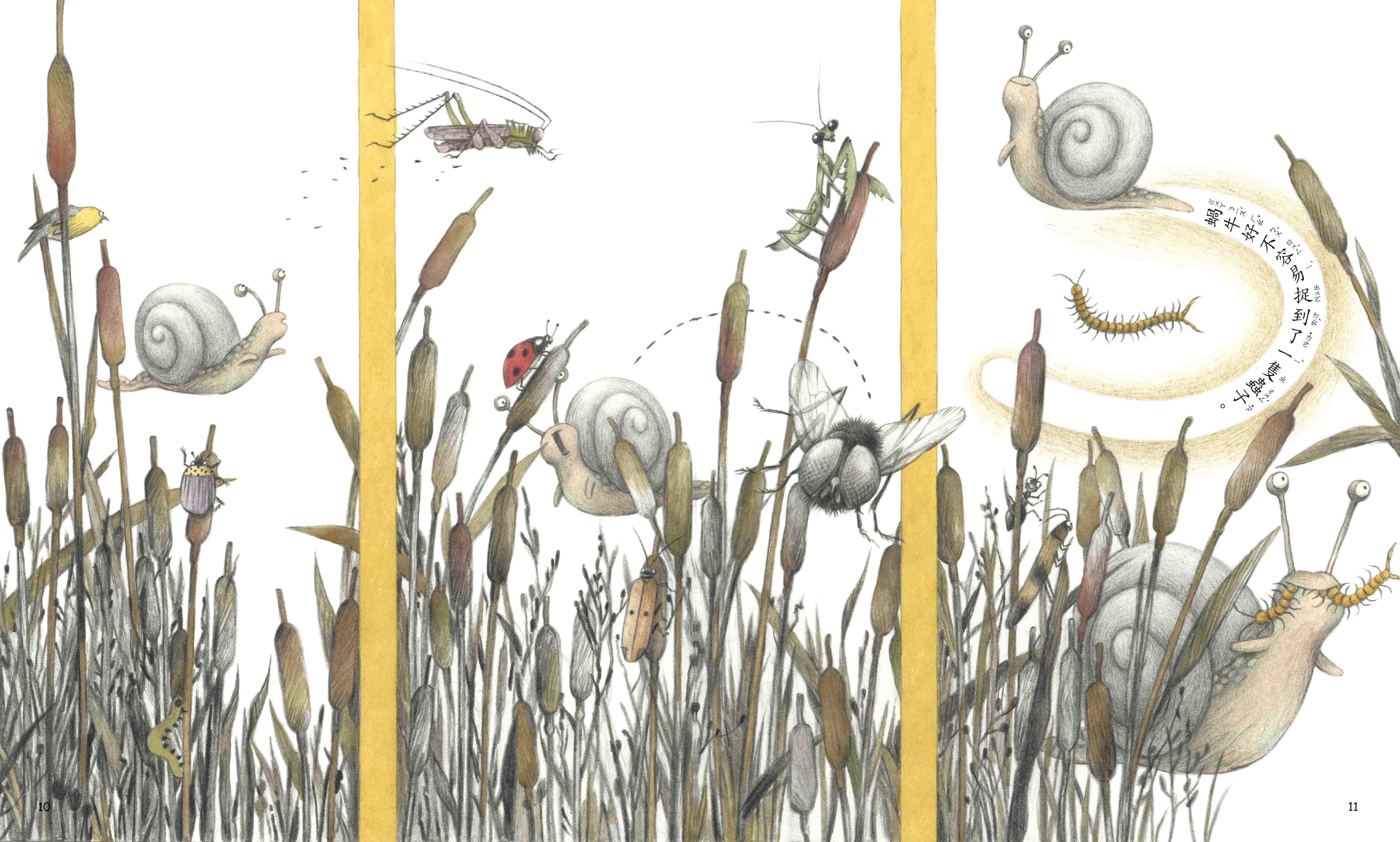 《南門書局》單本繪本館~青蛙與蝸牛 1本, , large